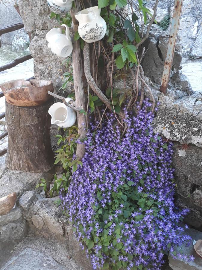 Apartman Biba Lubenice Bagian luar foto